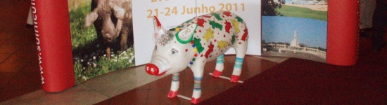 Oiporc 2011