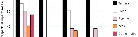 Impacto medioambiental de la producci&oacute;n de carne in vitro