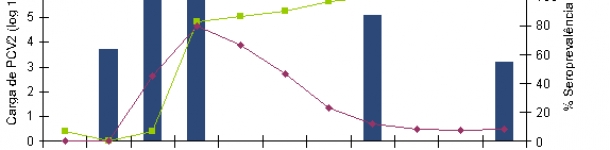 A relação entre o nível (ou % de animais com resposta positiva) de IgM e IgG é indicativo do momento em que se iniciou a infecção ou circulação vírica