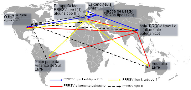 Distribución mundial del PRRSV y transmisión intercontinental hipotética