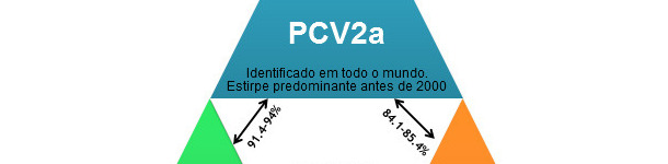 Principales genotipos de PCV2 y su relación en base a los genes de la cápside.