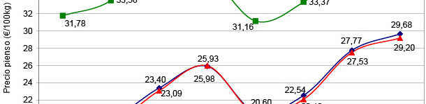 Evolución del precio del pienso de porcino