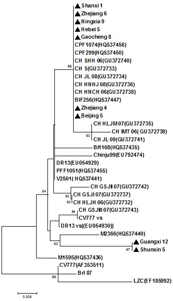 Árbol filogenético del gen ORF 3 de los aislados recientes del virus de PED en toda Asia.