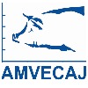 AMVECAJ XXI 2015