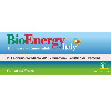 Bioenergy Italia: Biomasse e energias Renováveis