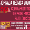Jornada Tecnica AVPA 2020