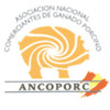 XIX ASSEMBLIEA-CONGRESSO ANCOPORC