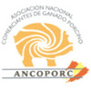 XVII Assemblea-Congresso ANCOPORC