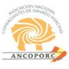 XVIII Congresso ANCOPORC