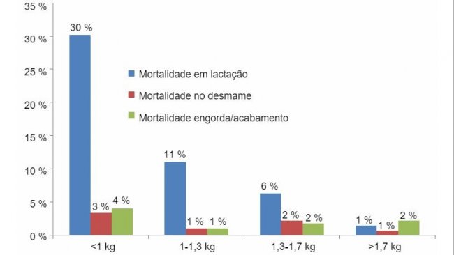 Mortality in each birth weight group by stage of production
