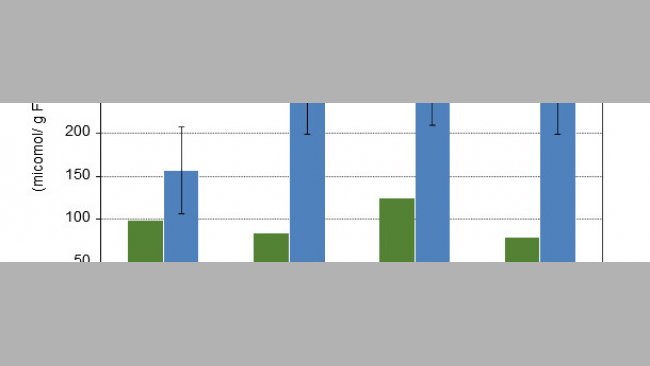 Concentração de ácidos gordos de cadeia curta sobre o bolo alimentar do cólon de leitões de 10 e de 15 dias após o desmame com 4 dietas experimentais diferentes.