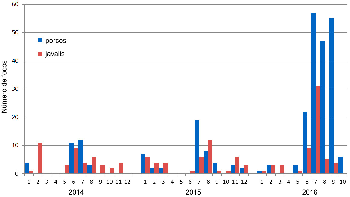 Número de focos entre 2014 y 2016