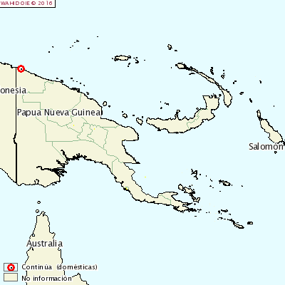 Aujeszky papua Nueva Guinea.png