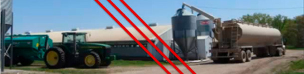 Separación entre el pienso y el purín es esencial para controlar el DEPV