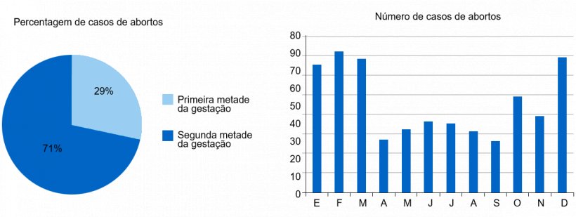 O gr&aacute;fico circular representa a percentagem de abortos na primeira e na segunda etapa da gesta&ccedil;&atilde;o, respectivamente. O gr&aacute;fico de barras representa a sazonalidade dos abortos.

