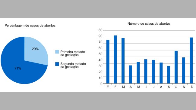 O gráfico circular representa a percentagem de abortos na primeira e na segunda etapa da gestação, respectivamente. O gráfico de barras representa a sazonalidade dos abortos.