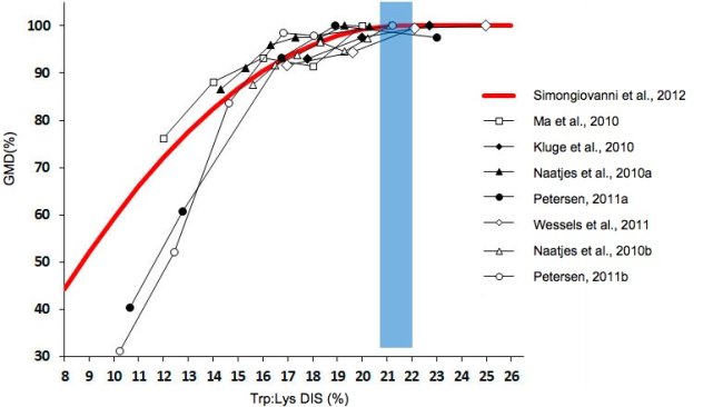 Efeito do rácio triptófano/lisina sobre o crescimento em leitões