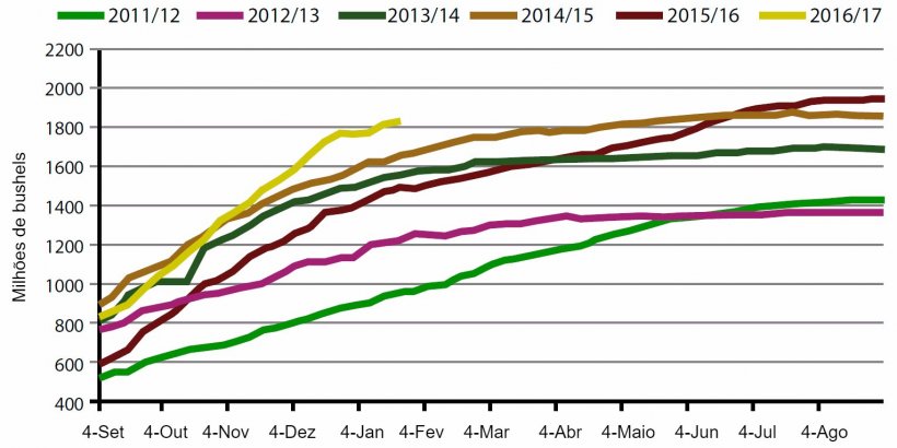 Gr&aacute;fico&nbsp;1. Volume&nbsp;semanal de exporta&ccedil;&otilde;es de gr&atilde;o de soja EUA, campanha actual e&nbsp;cinco anteriores. Fonte: USDA.
