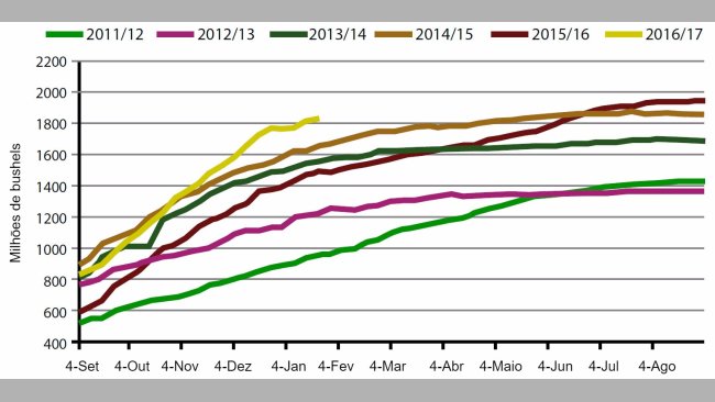 Gráfico 1. Volume semanal de exportações de grão de soja EUA, campanha actual e cinco anteriores. Fonte: USDA.