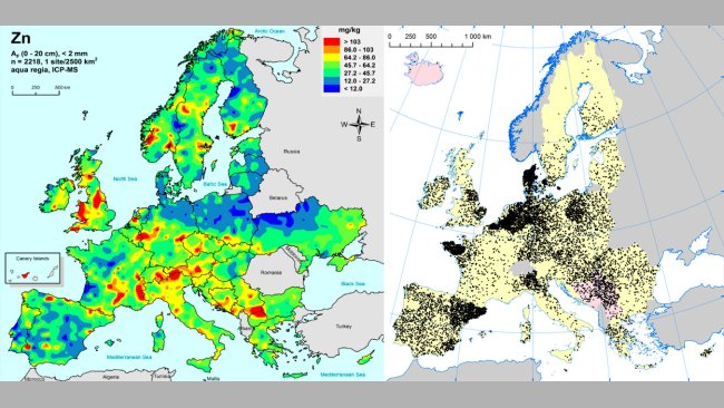 Izquierda: Zinc en suelos agrícolas de la UE (Gemas 2014): Niveles de zinc en la superfície del suelo (20 cm superiores) en tierra agrícola en Europa (tomado de Reimann et al., 2014). Derecha: Granjas porcinas en la UE (Eurostat, 2014).