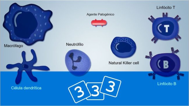 Descubra a imunologia na 3tres3
