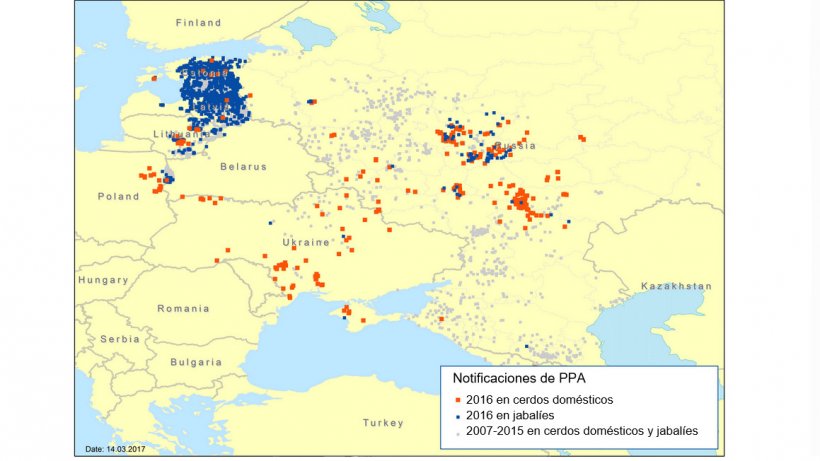 Notificaciones de brotes de PPA en la regi&oacute;n este de Europa 2007&ndash;2016
