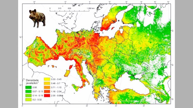 Figura 2: Popula&ccedil;&atilde;o modelada de javali&nbsp;na Europa. Fonte: FAO-ASFORCE, Maio 2015
