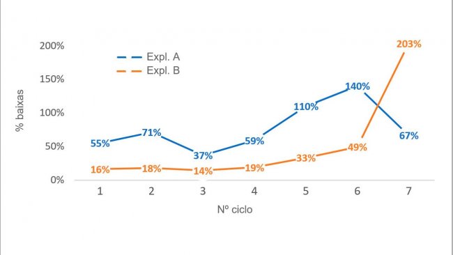 Gráfico 1. Percentagem de porcas eliminadas por nº de ciclo (nº porcas eliminadas por ciclo/efectivo médio por ciclo) em 2016