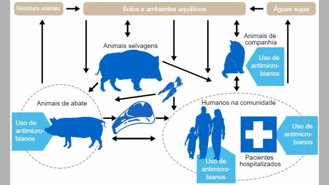 Fluxo de determinantes de resistência a antibióticos entre os diferentes reservatórios. Em azul indicam-se os pontos onde se administram antibióticos. http://www.effort-against-amr.eu/