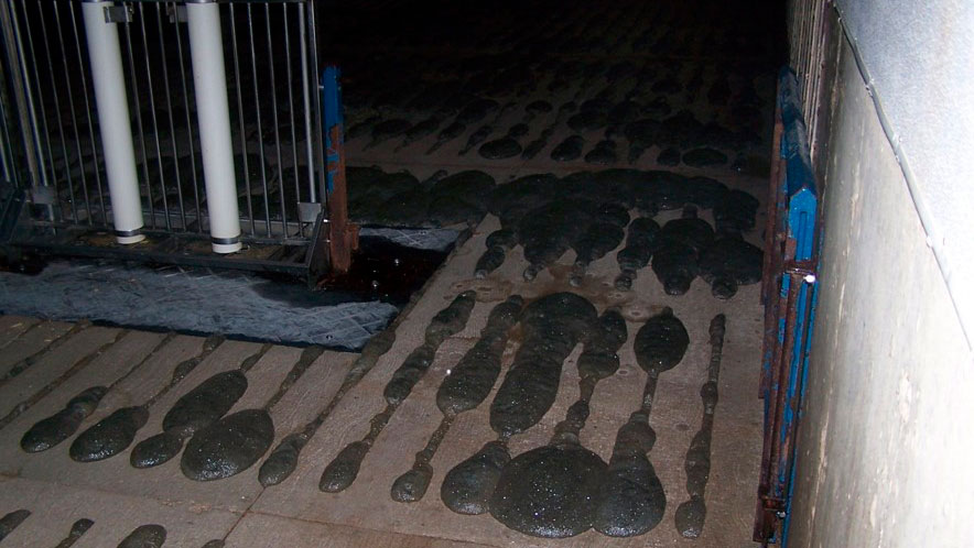 Formação de espuma na vala de efluente