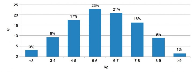 Figura 2. Distribui&ccedil;&atilde;o&nbsp;dos animais de acordo&nbsp;com o&nbsp;peso &agrave;&nbsp;entrada do&nbsp;desmame. A&nbsp;diferen&ccedil;a entre os&nbsp;5% de porcos com&nbsp;menos peso e os&nbsp;5% com maior&nbsp;peso &eacute;&nbsp;de 6kg.
