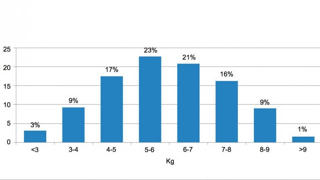 <p>Figura 2. Distribuição dos animais de acordo com o peso à entrada do desmame. A diferença entre os 5% de porcos com menos peso e os 5% com maior peso é de 6kg.</p>
