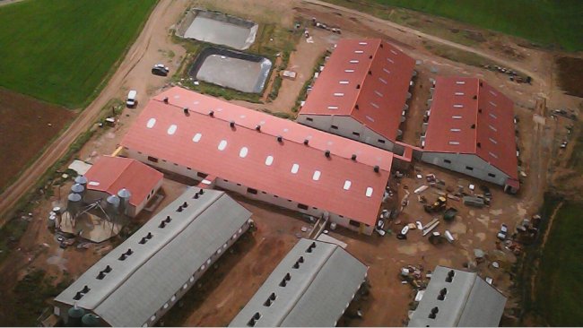As grandes explorações, climatizadas e bem estruturadas permitem trabalhar com níveis mais altos de bem-estar animal e possibilitam aos produtores disfrutar de turnos de trabalho e férias às quais antes estavam vedados, mas determinados sectores sociais vêm-nas de maneira muito negativa.