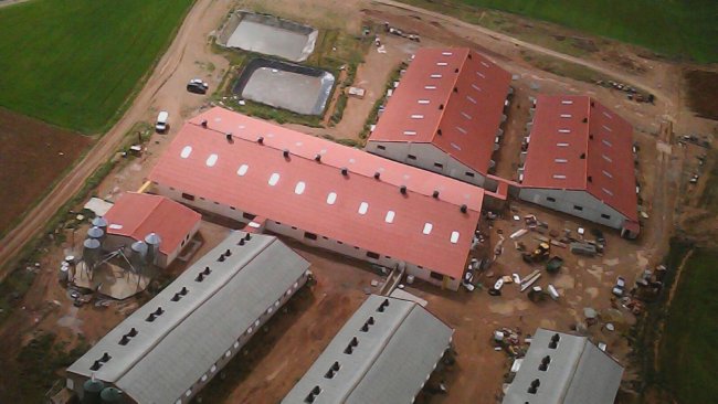 As grandes explorações, climatizadas e bem estruturadas permitem trabalhar com níveis mais altos de bem-estar animal e possibilitam aos produtores disfrutar de turnos de trabalho e férias às quais antes estavam vedados, mas determinados sectores sociais vêm-nas de maneira muito negativa.