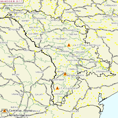 ppa moldavia 1