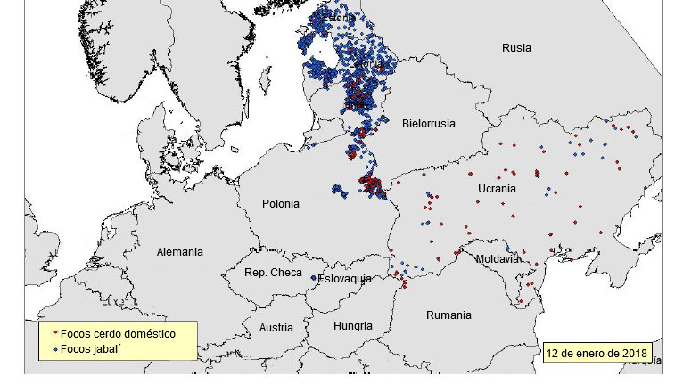 Focos de PPA declarados en el este de Europa desde junio de 2017 (Fuente: RASVE-ADNS)