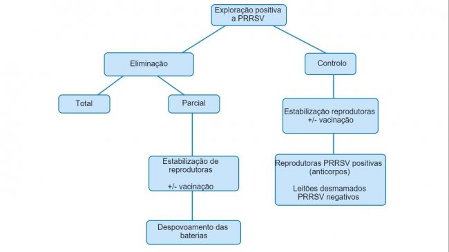 Figura 1. Vista esquemática das diferentes planificações em expolações PRRSV positivas