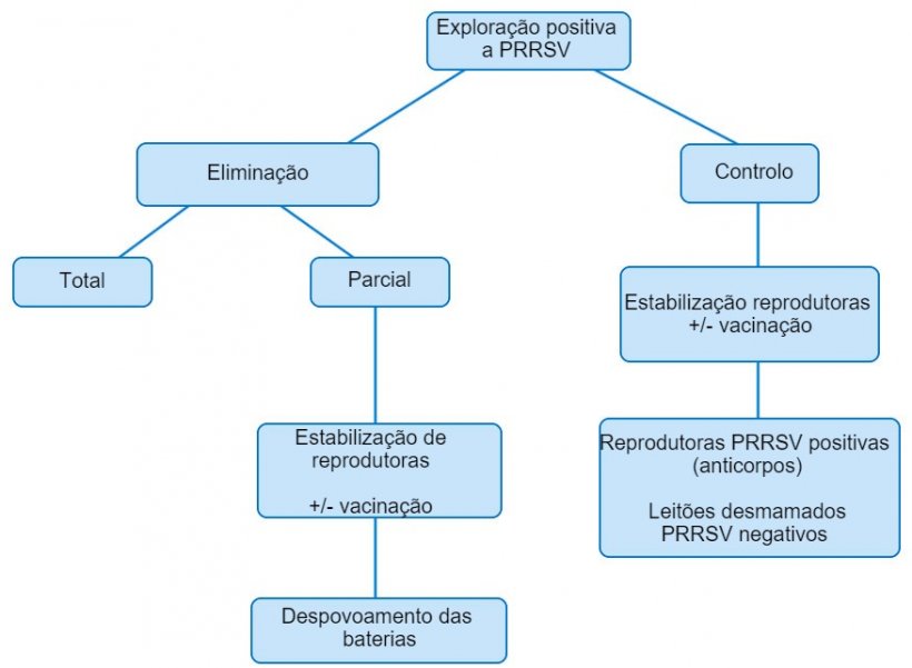 Figura 1. Vista esquemática das diferentes planificações em expolações PRRSV positivas