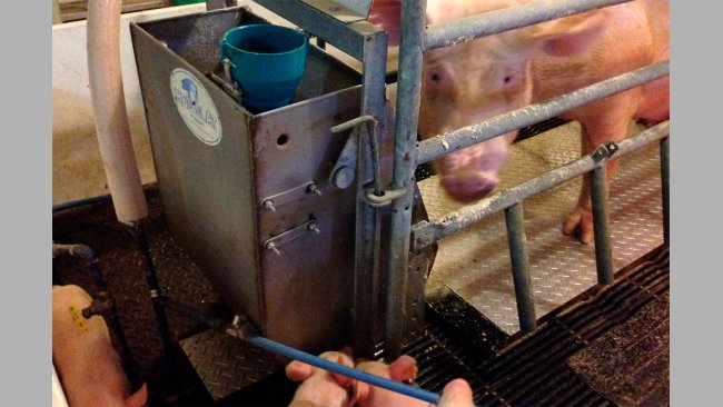 Figure 2 – Protótipo da placa refrigerante Purdue durante o teste na sala de partos.