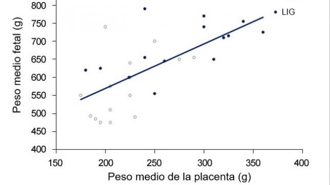 Gráfica 3. Tanto no grupo de controlo (CTR) como no grupo ligado (LIG), grupo ao qual se encerrou um oviducto, o peso dos fetos é dependente do peso da placenta. (Town, 2005).