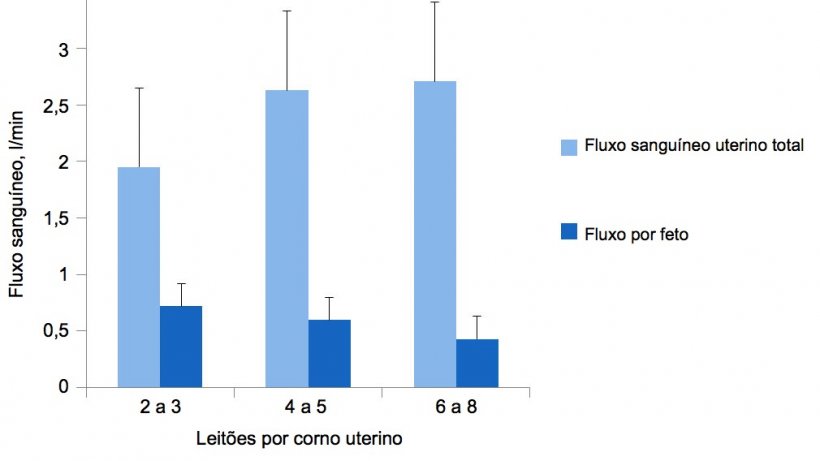Gr&aacute;fica 2. O fluxo sangu&iacute;neo uterino total adapta-se ao tamanho da ninhada, mas n&atilde;o o suficiente para manter o fluxo sangu&iacute;neo por leit&atilde;o. (P&egrave;re, 2000)
