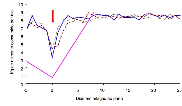 Gr&aacute;fico 4: Esquema de alimenta&ccedil;&atilde;o das porcas em fun&ccedil;&atilde;o da condi&ccedil;&atilde;o corporal da porca no dia 105 e do regime de alimenta&ccedil;&atilde;o: ad libitum (verde, azul, vermelho) ou standard (cor-de-rosa) &nbsp;(A. Cools, 2014)
