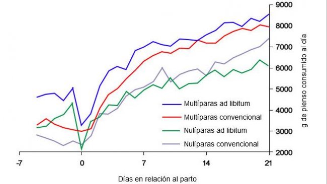 Gráfico 6. Consumo de alimento na lactação de porcas alimentadas ad libitum e/ou com um programa convencional no periparto
