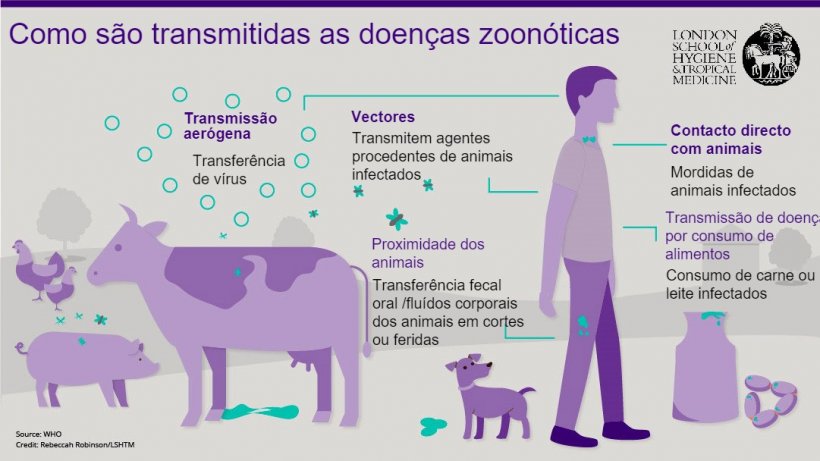 Figura 1. Rotas de transmissão das doenças zoonóticas. As zoonoses são doenças infecciosas que podem ser transmitidas de animais a humanos, mas também de humanos a animais. Fonte: London School of Hygiene and Tropical Medicine.
