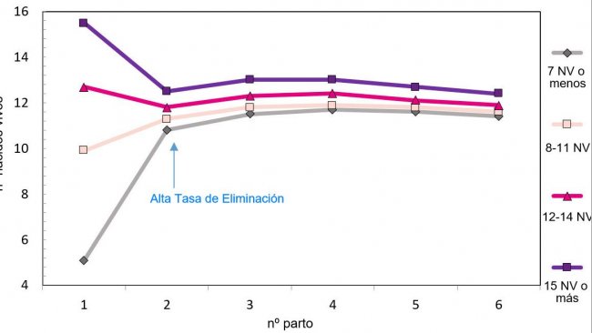 Gráfico 1. Produção ao longo da vida da porca em função dos leitões nascidos