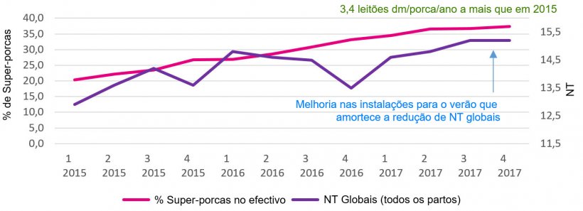 Gr&aacute;fico 2. Percentagem de super-porcas e nascidos totais globais
