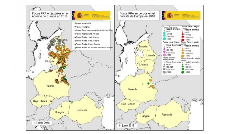 Mapa focos declarados na Estónia, Hungria, Letónia, Lituânia, Polónia, Rep. Checa e Roménia em 2018 (até 11/06/2018) (Fonte RASVE-ADNS)