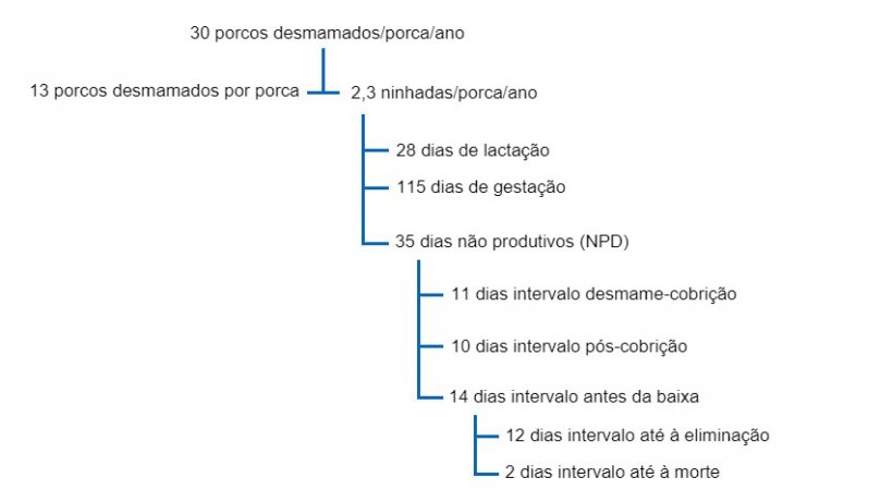 Fig. 1 Interrelação entre os DNP e outros factores de produtividade numa árvore produtiva para 30 porcos desmamados por porca e ano
