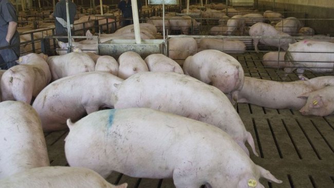 Foto 1. Sala para substituição na América do Norte. Cortesia da  Dr. Maria Jose Clavijo