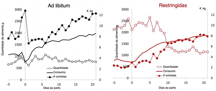 Ilustra&ccedil;&atilde;o 3.&nbsp;Compara&ccedil;&atilde;o do padr&atilde;o de alimenta&ccedil;&atilde;o em quantidade e refei&ccedil;&otilde;es por dia em porcas alimentadas ad libitum em compara&ccedil;&atilde;o a porcas com alimenta&ccedil;&atilde;o restringida durante a lacta&ccedil;&atilde;o.&nbsp;(Nutreco R &amp; D, 2015)
